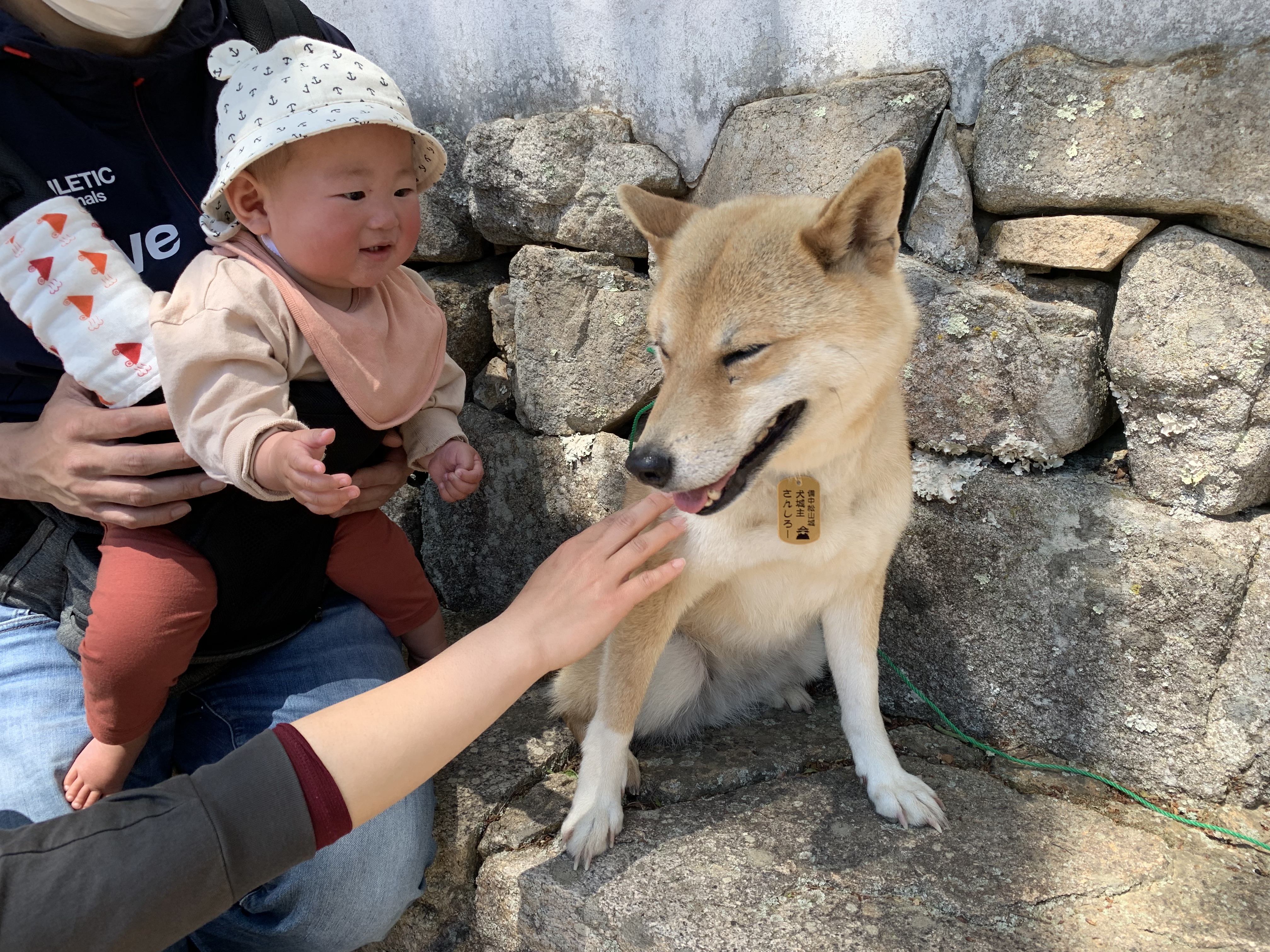 犬城主三四郎　